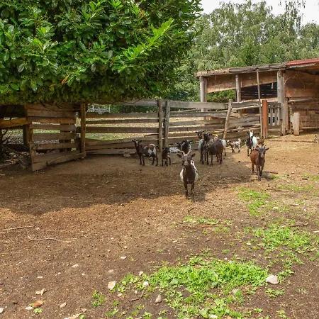 In With Views Casa vacanze