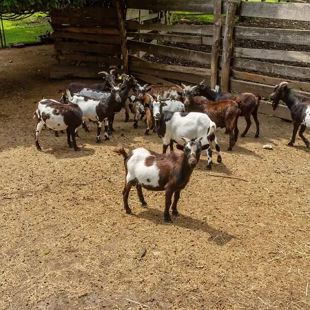 In With Views Prázdninový dům