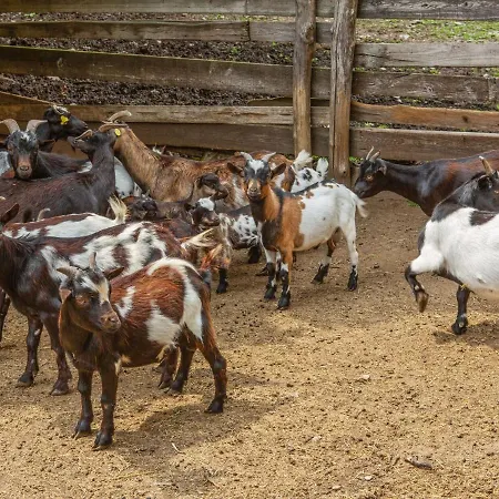 Casa vacanze In With Views