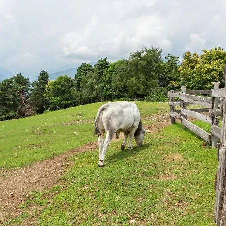 In With Views Verbania
