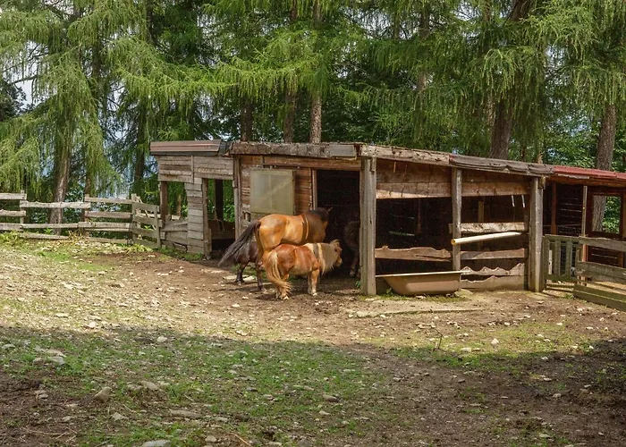 In With Views * ורבאניה