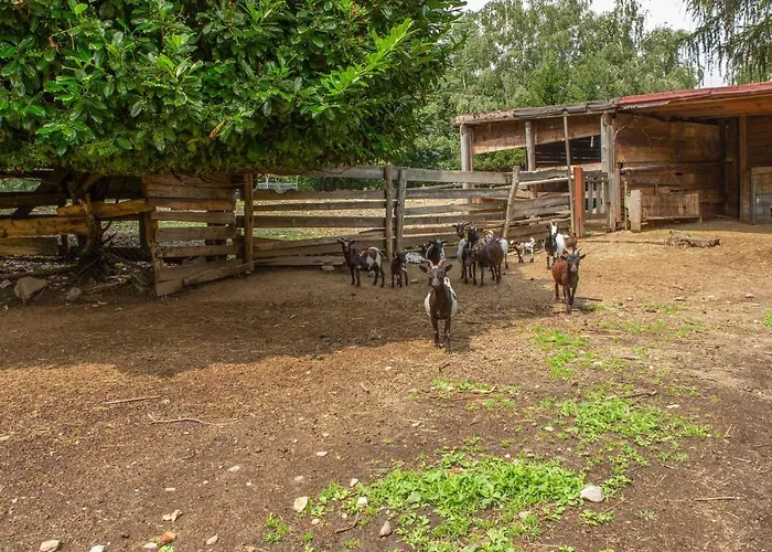 In With Views בית נופש