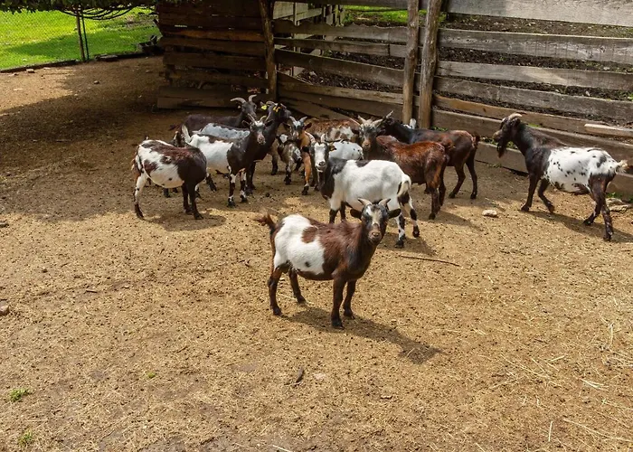 In With Views Vakantiehuis