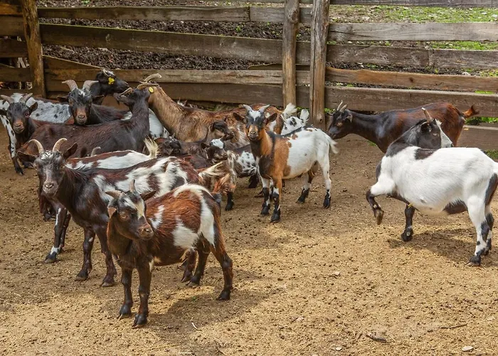 Casa vacanze In With Views