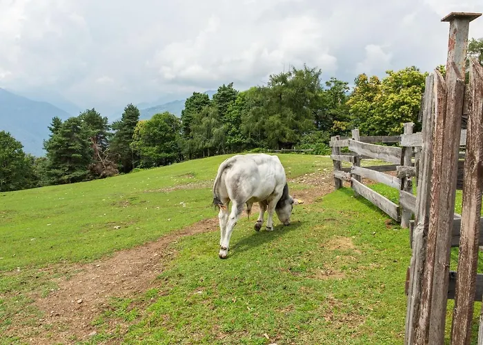 In With Views Verbania